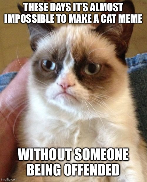 Grumpy Cat | THESE DAYS IT’S ALMOST IMPOSSIBLE TO MAKE A CAT MEME; WITHOUT SOMEONE BEING OFFENDED | image tagged in memes,grumpy cat | made w/ Imgflip meme maker
