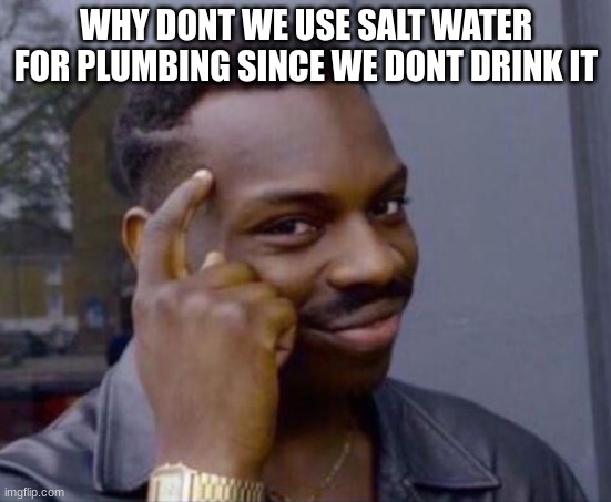 If you think about it | WHY DONT WE USE SALT WATER FOR PLUMBING SINCE WE DONT DRINK IT | image tagged in black guy pointing at head | made w/ Imgflip meme maker