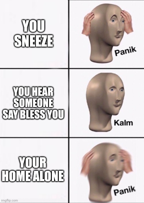 OH NO | YOU SNEEZE; YOU HEAR SOMEONE SAY BLESS YOU; YOUR HOME ALONE | image tagged in stonks panic calm panic,panik,kalm,home alone,worries,stonks | made w/ Imgflip meme maker