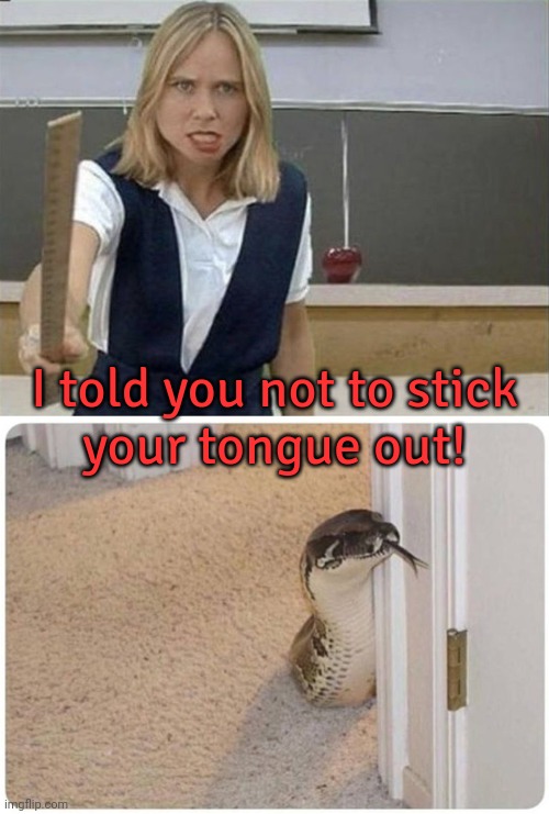 Bronx cheer. | I told you not to stick
your tongue out! | image tagged in mad teacher,snake peeking around corner,reptilians,funny animal,raspberry | made w/ Imgflip meme maker