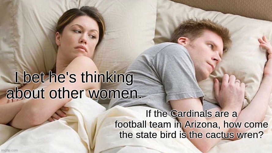 I thought of this just now. | I bet he's thinking about other women. If the Cardinals are a football team in Arizona, how come the state bird is the cactus wren? | image tagged in memes,i bet he's thinking about other women,arizona,united states,football | made w/ Imgflip meme maker