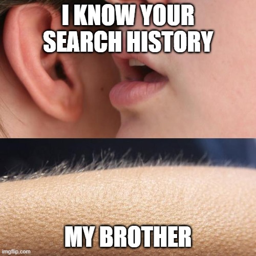 Whisper and Goosebumps | I KNOW YOUR SEARCH HISTORY; MY BROTHER | image tagged in whisper and goosebumps | made w/ Imgflip meme maker
