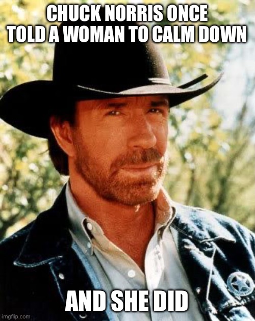 Chuck Norris | CHUCK NORRIS ONCE TOLD A WOMAN TO CALM DOWN; AND SHE DID | image tagged in memes,chuck norris | made w/ Imgflip meme maker
