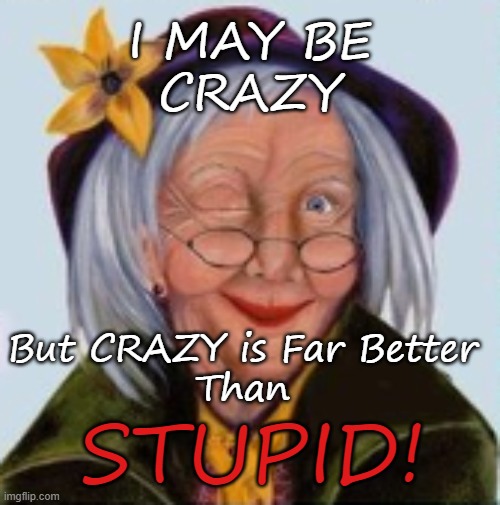 I MAY BE
CRAZY; But CRAZY is Far Better 
Than; STUPID! | image tagged in crazy,stupid | made w/ Imgflip meme maker