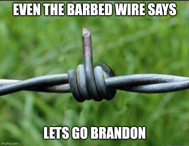 One finger salute | EVEN THE BARBED WIRE SAYS; LETS GO BRANDON | image tagged in barbed wire bird flip | made w/ Imgflip meme maker