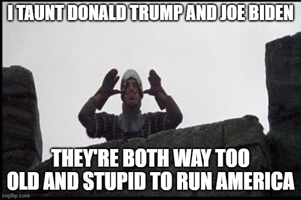 Well, it's true. | I TAUNT DONALD TRUMP AND JOE BIDEN; THEY'RE BOTH WAY TOO OLD AND STUPID TO RUN AMERICA | image tagged in french taunting in monty python's holy grail,joe biden,donald trump,american politics,stupid people | made w/ Imgflip meme maker