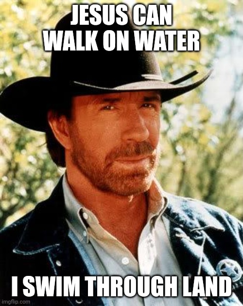 Chuck Norris | JESUS CAN WALK ON WATER; I SWIM THROUGH LAND | image tagged in memes,chuck norris | made w/ Imgflip meme maker