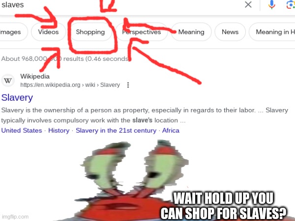 WAIT HOLD UP GOOGLE | WAIT HOLD UP YOU CAN SHOP FOR SLAVES? | image tagged in memes,google,google search,funny memes,weird | made w/ Imgflip meme maker