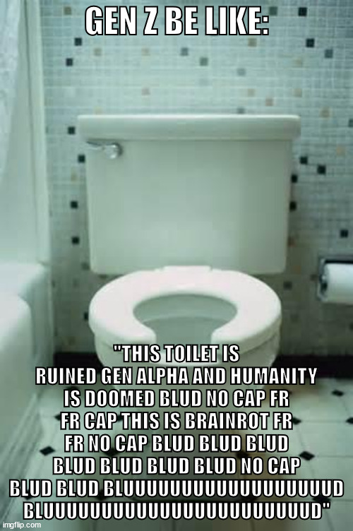 lol haha lol | GEN Z BE LIKE:; "THIS TOILET IS RUINED GEN ALPHA AND HUMANITY IS DOOMED BLUD NO CAP FR FR CAP THIS IS BRAINROT FR FR NO CAP BLUD BLUD BLUD BLUD BLUD BLUD BLUD NO CAP BLUD BLUD BLUUUUUUUUUUUUUUUUUUD BLUUUUUUUUUUUUUUUUUUUUUUUD" | image tagged in toilet | made w/ Imgflip meme maker