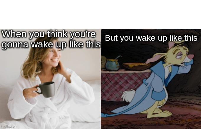 Woman Yelling At Cat | When you think you're gonna wake up like this; But you wake up like this | image tagged in memes | made w/ Imgflip meme maker