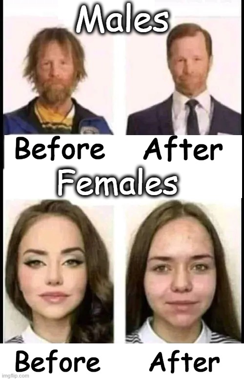The difference can be shocking . . . | Males; Before; After; Females; Before; After | image tagged in fun,funny,shocking,men and women,difference between men and women,imgflip humor | made w/ Imgflip meme maker