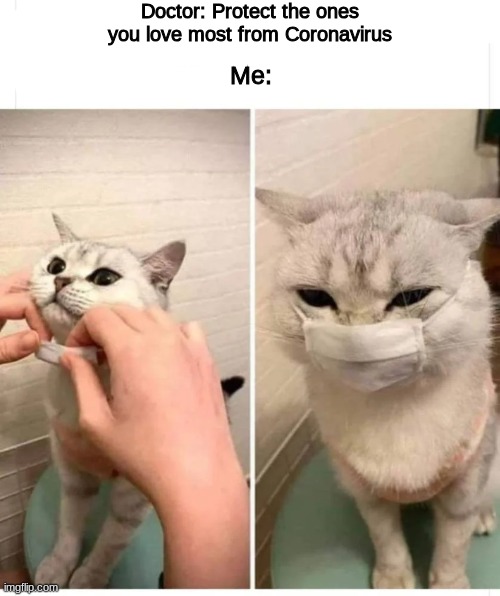 Doctor: Protect the ones you love most from Coronavirus; Me: | image tagged in memes,funny,cats,coronavirus,covid,2020 | made w/ Imgflip meme maker