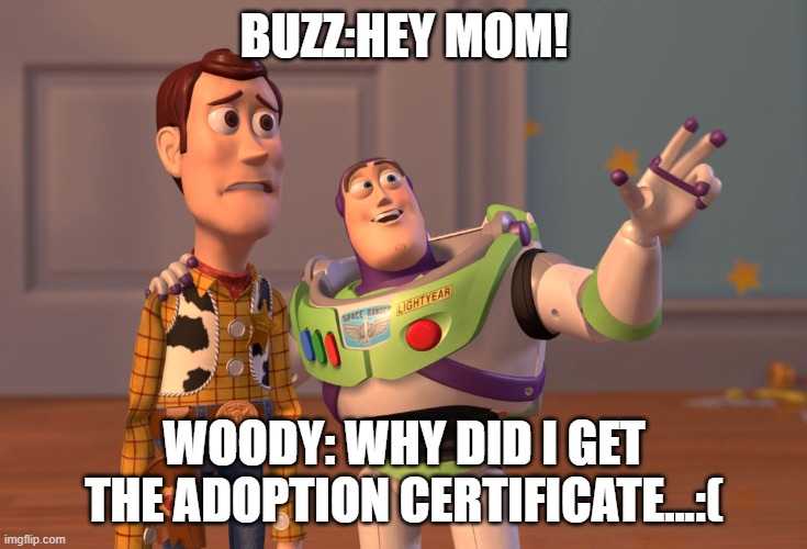 X, X Everywhere | BUZZ:HEY MOM! WOODY: WHY DID I GET THE ADOPTION CERTIFICATE...:( | image tagged in memes,x x everywhere | made w/ Imgflip meme maker