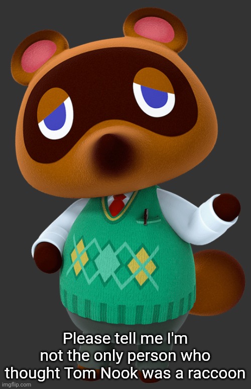 Tom Nook | Please tell me I'm not the only person who thought Tom Nook was a raccoon | image tagged in tom nook | made w/ Imgflip meme maker
