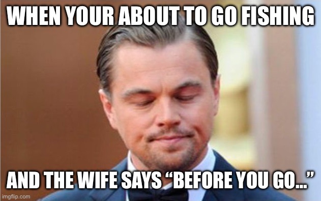Leonardo Dicaprio | WHEN YOUR ABOUT TO GO FISHING; AND THE WIFE SAYS “BEFORE YOU GO…” | image tagged in leonardo dicaprio | made w/ Imgflip meme maker