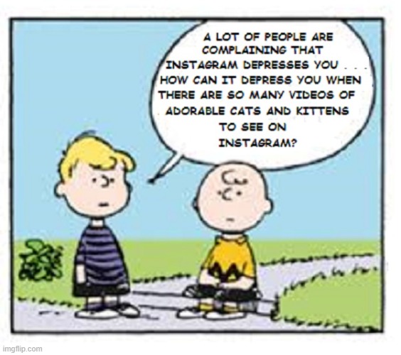 Charlie Brown Schroeder Instagram | image tagged in charlie brown,schroeder,instagram,cats,i love cats | made w/ Imgflip meme maker