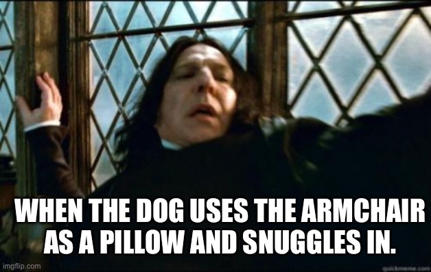 Snape | WHEN THE DOG USES THE ARMCHAIR AS A PILLOW AND SNUGGLES IN. | image tagged in memes,snape | made w/ Imgflip meme maker