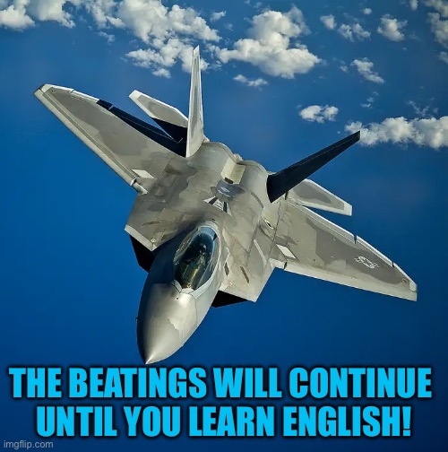 F22 | THE BEATINGS WILL CONTINUE 
UNTIL YOU LEARN ENGLISH! | image tagged in f22 | made w/ Imgflip meme maker