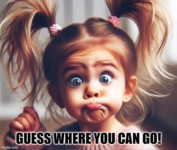 Sassy little lady | GUESS WHERE YOU CAN GO! | image tagged in funny,sassy,cute,pig tails,girl | made w/ Imgflip meme maker