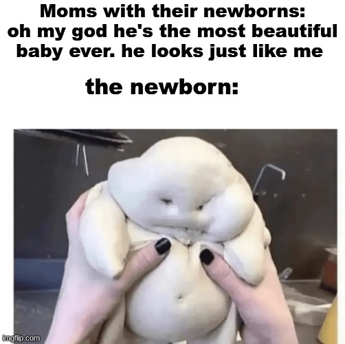 so true tho | Moms with their newborns: oh my god he's the most beautiful baby ever. he looks just like me; the newborn: | image tagged in memes,funny,newborn,moms,dogs,cats | made w/ Imgflip meme maker