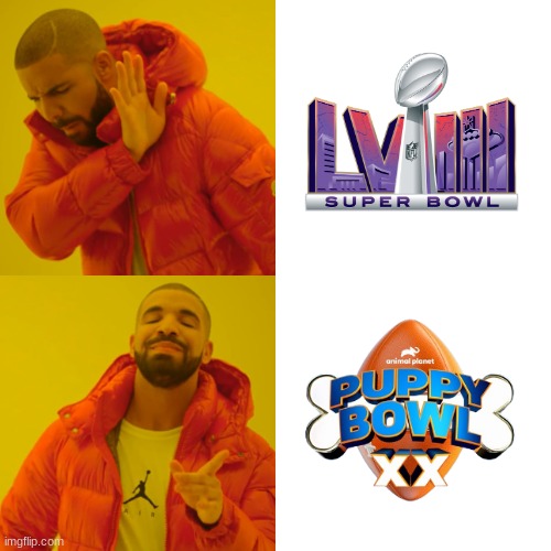 The ONLY real "Bowl" I watch | image tagged in memes,puppy bowl,super bowl,nfl,football,drake hotline bling | made w/ Imgflip meme maker