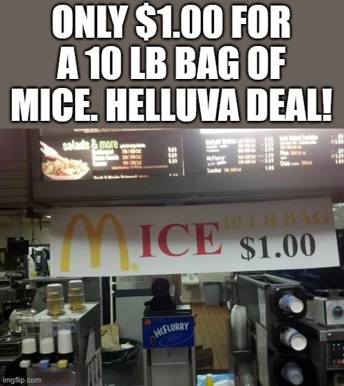 Only $1.00 For A 10 LB Bag Of Mice | ONLY $1.00 FOR A 10 LB BAG OF MICE. HELLUVA DEAL! | image tagged in mice,ice,mcdonalds,mcdonald's sign,funny,memes | made w/ Imgflip meme maker