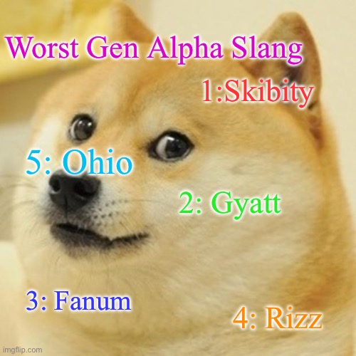 I hate the slang | Worst Gen Alpha Slang; 1:Skibity; 5: Ohio; 2: Gyatt; 3: Fanum; 4: Rizz | image tagged in memes,doge,gen z humor | made w/ Imgflip meme maker