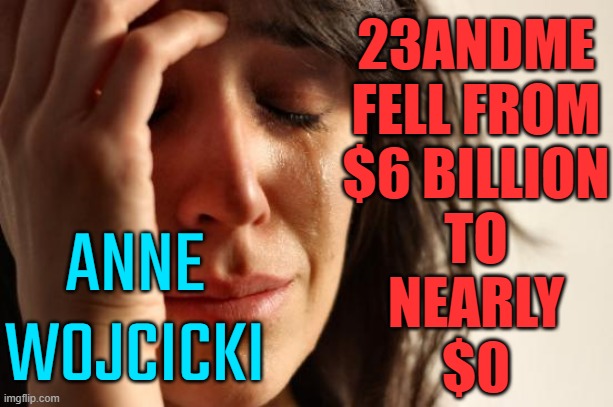 23andMe’s Fall From $6 Billion to Nearly $0 | 23ANDME
FELL FROM
$6 BILLION
TO
NEARLY
$0; ANNE WOJCICKI | image tagged in memes,first world problems,hackers,dna,'murica,capitalism | made w/ Imgflip meme maker