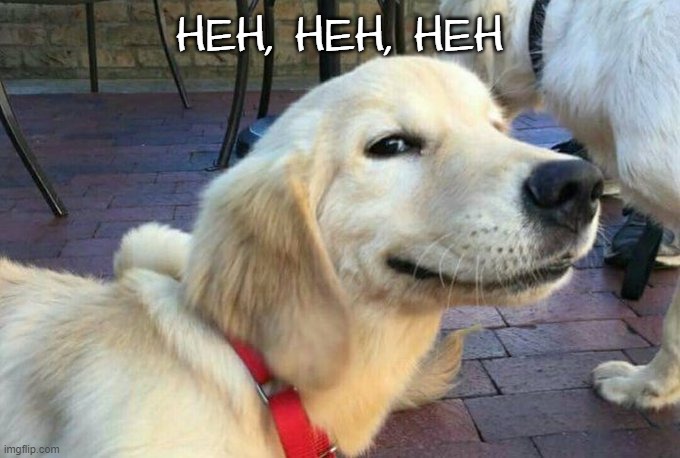 Heh,heh,heh | HEH, HEH, HEH | image tagged in dogs,funny dog memes | made w/ Imgflip meme maker
