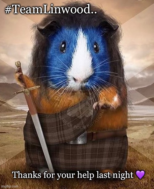 Guinea pig | #TeamLinwood.. Thanks for your help last night 💜 | image tagged in scotland,hustle,dance | made w/ Imgflip meme maker