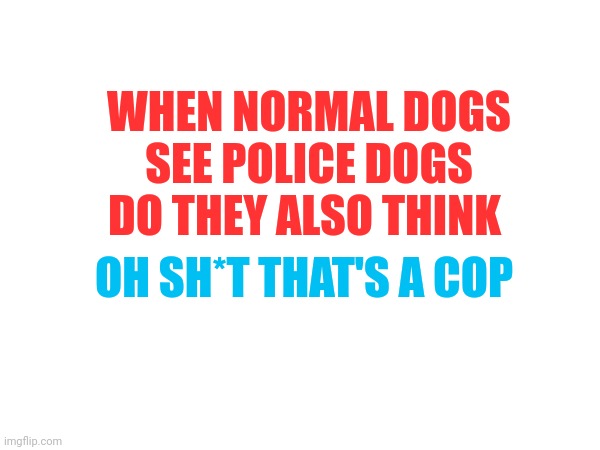 This is important | WHEN NORMAL DOGS SEE POLICE DOGS DO THEY ALSO THINK; OH SH*T THAT'S A COP | image tagged in memes,front page plz,happy birthday,funny dogs | made w/ Imgflip meme maker