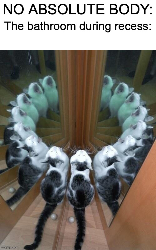 :skull: | NO ABSOLUTE BODY:; The bathroom during recess: | image tagged in cats,animals,memes,funny,xd,gifs | made w/ Imgflip meme maker