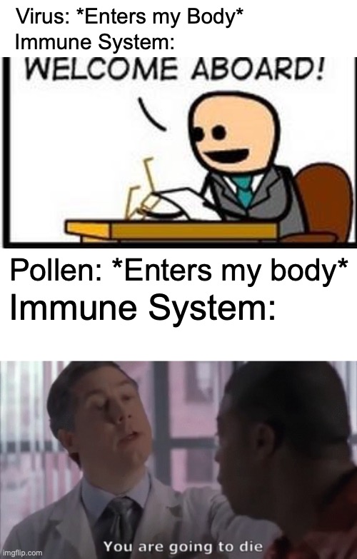 This rings all too true when you have flu and you're in a meadow. | Virus: *Enters my Body*; Immune System:; Pollen: *Enters my body*; Immune System: | image tagged in you are going to die,memes,funny,relatable,true,cats | made w/ Imgflip meme maker