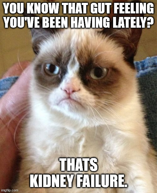 Grumpy Cat Meme | YOU KNOW THAT GUT FEELING YOU'VE BEEN HAVING LATELY? THATS KIDNEY FAILURE. | image tagged in memes,grumpy cat | made w/ Imgflip meme maker