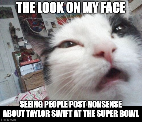 Look on my face.... | THE LOOK ON MY FACE; SEEING PEOPLE POST NONSENSE ABOUT TAYLOR SWIFT AT THE SUPER BOWL | image tagged in look on my face,nfl,super bowl,taylor swift | made w/ Imgflip meme maker