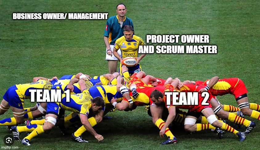 SCRUM for IT | BUSINESS OWNER/ MANAGEMENT; PROJECT OWNER AND SCRUM MASTER; TEAM 1; TEAM 2 | image tagged in scrum,work,it | made w/ Imgflip meme maker