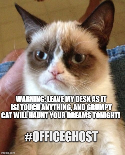 Grumpy Cat | WARNING: LEAVE MY DESK AS IT IS! TOUCH ANYTHING, AND GRUMPY CAT WILL HAUNT YOUR DREAMS TONIGHT! #OFFICEGHOST | image tagged in memes,grumpy cat,corporate,the office | made w/ Imgflip meme maker