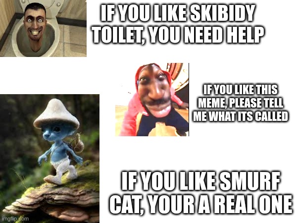memes | IF YOU LIKE SKIBIDY TOILET, YOU NEED HELP; IF YOU LIKE THIS MEME, PLEASE TELL ME WHAT ITS CALLED; IF YOU LIKE SMURF CAT, YOUR A REAL ONE | image tagged in vote | made w/ Imgflip meme maker