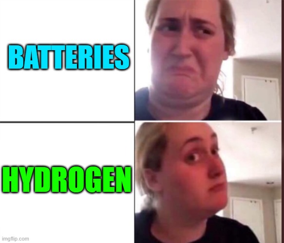 Hydrogen Will Overtake Batteries In The Race For Zero Emission Cars | BATTERIES; HYDROGEN | image tagged in kombucha girl,hydrogen,cars,climate change,carbon footprint,environment | made w/ Imgflip meme maker