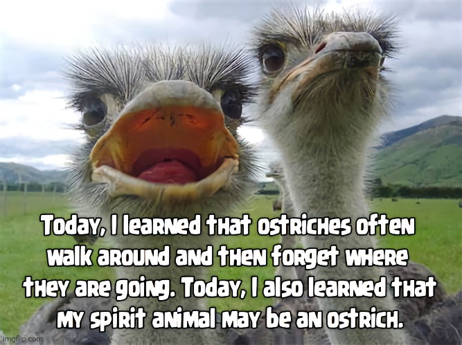 Getting Older | image tagged in aging,silly,ostrich | made w/ Imgflip meme maker