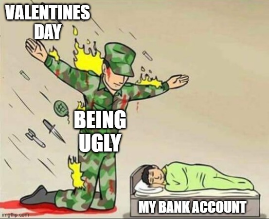 this saved my money on valentines day | VALENTINES DAY; BEING UGLY; MY BANK ACCOUNT | image tagged in soldier protecting sleeping child | made w/ Imgflip meme maker