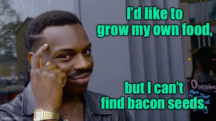 Grow your own | I’d like to grow my own food, but I can’t find bacon seeds. | image tagged in roll safe think about it,grow my own,cannot find,bacon seeds | made w/ Imgflip meme maker