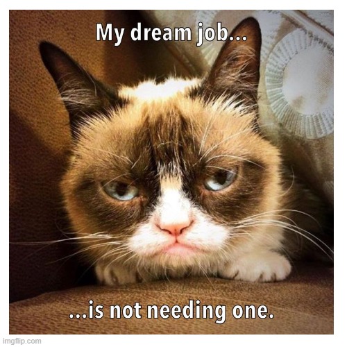this is my first post in months | image tagged in grumpy cat,job,cat,frown,you have been eternally cursed for reading the tags | made w/ Imgflip meme maker