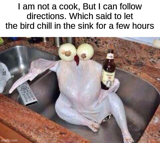 Turkey | I am not a cook, But I can follow directions. Which said to let the bird chill in the sink for a few hours | image tagged in turkey,memes,funny,bird | made w/ Imgflip meme maker