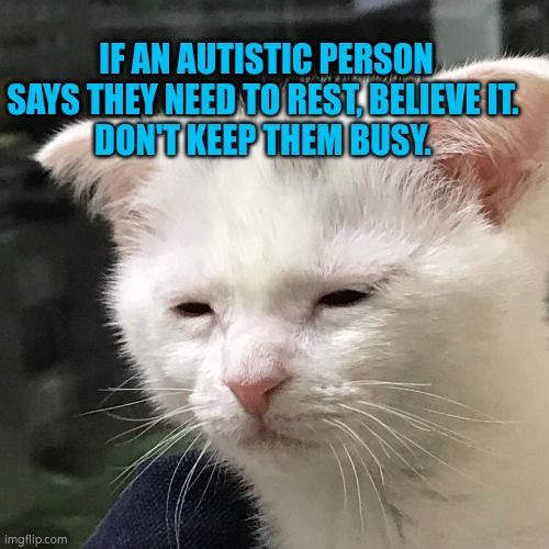 Autistic energy | IF AN AUTISTIC PERSON SAYS THEY NEED TO REST, BELIEVE IT. 
DON'T KEEP THEM BUSY. | image tagged in autistic,autism,energy | made w/ Imgflip meme maker