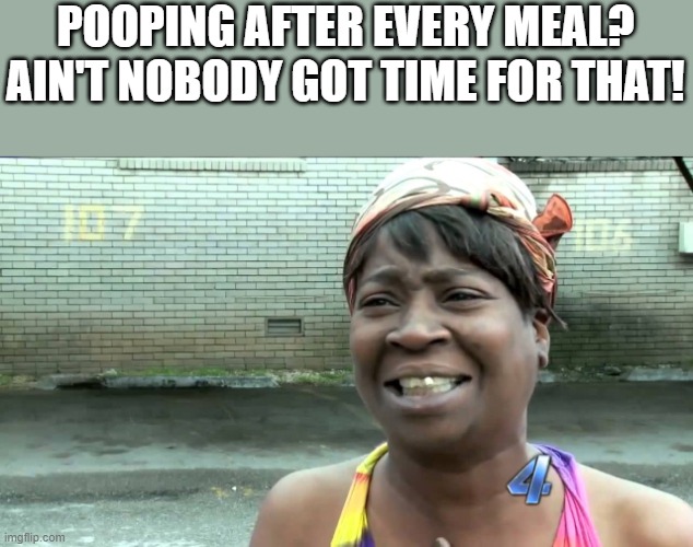 Pooping After Every Meal | POOPING AFTER EVERY MEAL? AIN'T NOBODY GOT TIME FOR THAT! | image tagged in pooping,meal,food,ain't nobody got time for that,funny,memes | made w/ Imgflip meme maker