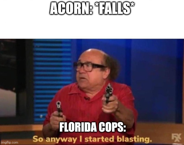 How easily startled are you? | ACORN: *FALLS*; FLORIDA COPS: | image tagged in so anyway i started blasting,meanwhile in florida,florida shooting,cops and donuts,funny memes | made w/ Imgflip meme maker