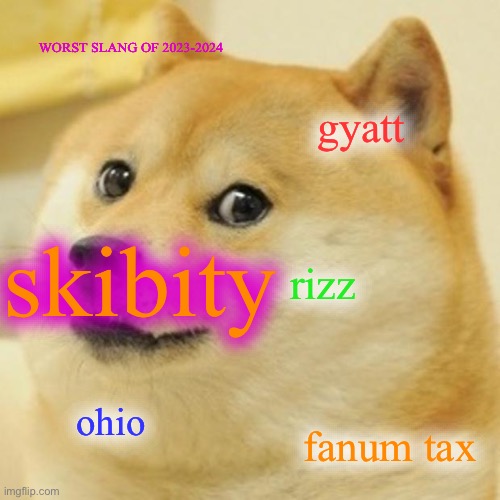 Doge | WORST SLANG OF 2023-2024; gyatt; skibity; rizz; ohio; fanum tax | image tagged in memes,doge | made w/ Imgflip meme maker