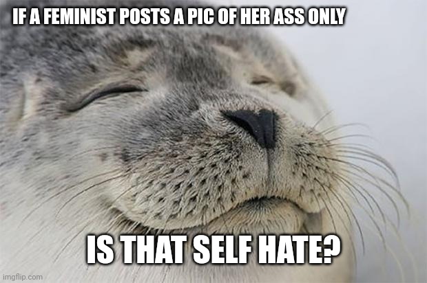 Feminist Ass | IF A FEMINIST POSTS A PIC OF HER ASS ONLY; IS THAT SELF HATE? | image tagged in memes,satisfied seal,ass,femanist | made w/ Imgflip meme maker
