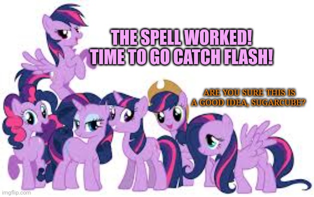 Too many twilights? | THE SPELL WORKED! TIME TO GO CATCH FLASH! ARE YOU SURE THIS IS A GOOD IDEA, SUGARCUBE? | image tagged in mlp,twilight sparkle,too many ponies | made w/ Imgflip meme maker